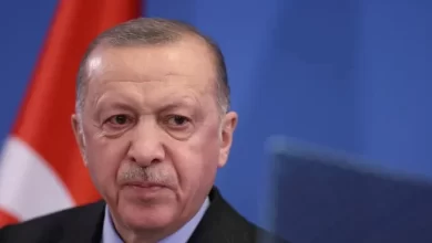 الأسد أردوغان